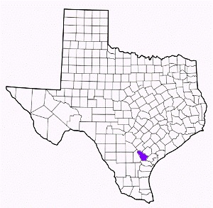 bee county texas fire, fire departments in bee county, bee county tx fire stations, volunteer fire department, bee county texas, bee county fire station numbers, bee county fire jobs, bee county live dispatch, bee county fire departments, bee county ems, bee county ambulance, bee county texas firefighters