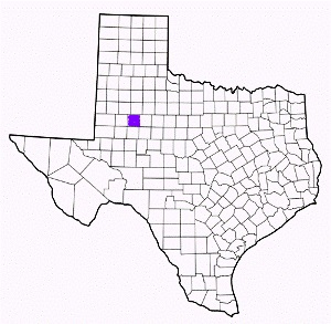 borden county texas fire, fire departments in borden county, borden county tx fire stations, volunteer fire department, borden county texas, borden county fire station numbers, borden county fire jobs, borden county live dispatch, borden county fire departments, borden county ems, borden county ambulance, borden county texas firefighters