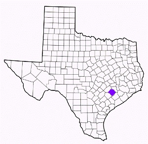 colorado county texas fire, fire departments in colorado county, colorado county tx fire stations, volunteer fire department, colorado county texas, colorado county fire station numbers, colorado county fire jobs, colorado county live dispatch, colorado county fire departments, colorado county ems, colorado county ambulance, colorado county texas firefighters