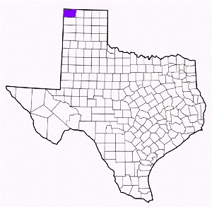 dallam county texas fire, fire departments in dallam county, dallam county tx fire stations, volunteer fire department, dallam county texas, dallam county fire station numbers, dallam county fire jobs, dallam county live dispatch, dallam county fire departments, dallam county ems, dallam county ambulance, dallam county texas firefighters