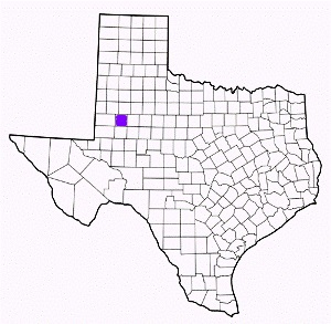 dawson county texas fire, fire departments in dawson county, dawson county tx fire stations, volunteer fire department, dawson county texas, dawson county fire station numbers, dawson county fire jobs, dawson county live dispatch, dawson county fire departments, dawson county ems, dawson county ambulance, dawson county texas firefighters