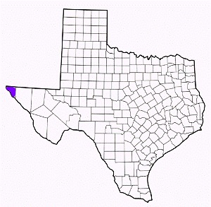 el paso county texas fire, fire departments in el paso county, el paso county tx fire stations, volunteer fire department, el paso county texas, el paso county fire station numbers, el paso county fire jobs, el paso county live dispatch, el paso county fire departments, el paso county ems, el paso county ambulance, el paso county texas firefighters