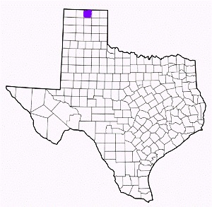 hansford county texas fire, fire departments in hansford county, hansford county tx fire stations, volunteer fire department, hansford county texas, hansford county fire station numbers, hansford county fire jobs, hansford county live dispatch, hansford county fire departments, hansford county ems, hansford county ambulance, hansford county texas firefighters