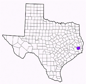 hardin county texas fire, fire departments in hardin county, hardin county tx fire stations, volunteer fire department, hardin county texas, hardin county fire station numbers, hardin county fire jobs, hardin county live dispatch, hardin county fire departments, hardin county ems, hardin county ambulance, hardin county texas firefighters