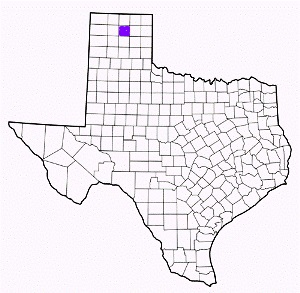 hutchinson county texas fire, fire departments in hutchinson county, hutchinson county tx fire stations, volunteer fire department, hutchinson county texas, hutchinson county fire station numbers, hutchinson county fire jobs, hutchinson county live dispatch, hutchinson county fire departments, hutchinson county ems, hutchinson county ambulance, hutchinson county texas firefighters