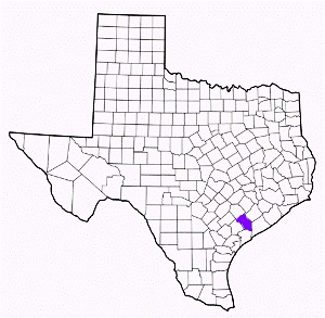 jackson county texas fire, fire departments in jackson county, jackson county tx fire stations, volunteer fire department, jackson county texas, jackson county fire station numbers, jackson county fire jobs, jackson county live dispatch, jackson county fire departments, jackson county ems, jackson county ambulance, jackson county texas firefighters