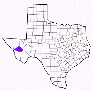 jeff davis county texas fire, fire departments in jeff davis county, jeff davis county tx fire stations, volunteer fire department, jeff davis county texas, jeff davis county fire station numbers, jeff davis county fire jobs, jeff davis county live dispatch, jeff davis county fire departments, jeff davis county ems, jeff davis county ambulance, jeff davis county texas firefighters