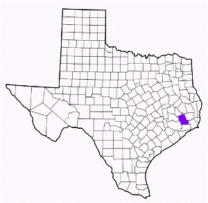 liberty county texas fire, fire departments in liberty county, liberty county tx fire stations, volunteer fire department, liberty county texas, liberty county fire station numbers, liberty county fire jobs, liberty county live dispatch, liberty county fire departments, liberty county ems, liberty county ambulance, liberty county texas firefighters