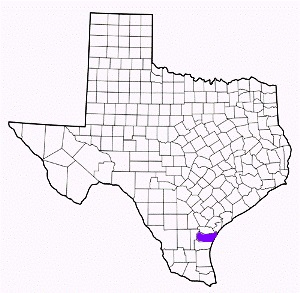 nueces county texas fire, fire departments in nueces county, nueces county tx fire stations, volunteer fire department, nueces county texas, nueces county fire station numbers, nueces county fire jobs, nueces county live dispatch, nueces county fire departments, nueces county ems, nueces county ambulance, nueces county texas firefighters