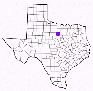 palo pinto county texas fire, fire departments in palo pinto county, palo pinto county tx fire stations, volunteer fire department, palo pinto county texas, palo pinto county fire station numbers, palo pinto county fire jobs, palo pinto county live dispatch, palo pinto county fire departments, palo pinto county ems, palo pinto county ambulance, palo pinto county texas firefighters