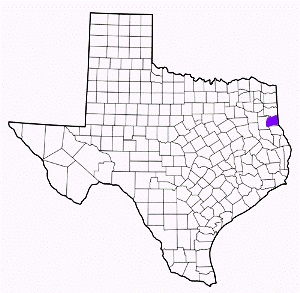 panola county texas fire, fire departments in panola county, panola county tx fire stations, volunteer fire department, panola county texas, panola county fire station numbers, panola county fire jobs, panola county live dispatch, panola county fire departments, panola county ems, panola county ambulance, panola county texas firefighters
