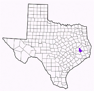 san jacinto county texas fire, fire departments in san jacinto county, san jacinto county tx fire stations, volunteer fire department, san jacinto county texas, san jacinto county fire station numbers, san jacinto county fire jobs, san jacinto county live dispatch, san jacinto county fire departments, san jacinto county ems, san jacinto county ambulance, san jacinto county texas firefighters