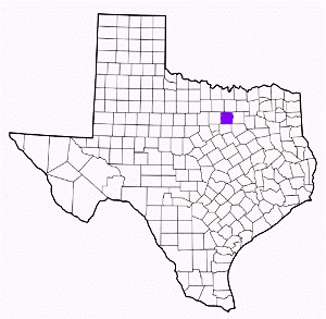 tarrant county texas fire, fire departments in tarrant county, tarrant county tx fire stations, volunteer fire department, tarrant county texas, tarrant county fire station numbers, tarrant county fire jobs, tarrant county live dispatch, tarrant county fire departments, tarrant county ems, tarrant county ambulance, tarrant county texas firefighters