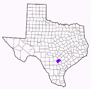wilson county texas fire, fire departments in wilson county, wilson county tx fire stations, volunteer fire department, wilson county texas, wilson county fire station numbers, wilson county fire jobs, wilson county live dispatch, wilson county fire departments, wilson county ems, wilson county ambulance, wilson county texas firefighters