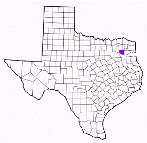 wood county texas fire, fire departments in wood county, wood county tx fire stations, volunteer fire department, wood county texas, wood county fire station numbers, wood county fire jobs, wood county live dispatch, wood county fire departments, wood county ems, wood county ambulance, wood county texas firefighters