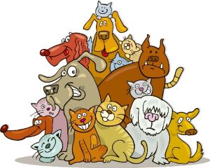 pet fire safety, pet emergency evacuation, pet emergency preparedness, fire safety tips, pet fire safety tips, home fire safety, pet emergency plan, pet evacuation plan, fire safety for pets, don't forget your pets, texas fire, texas firefighters, tx firefighters, tx fire, texas fire department